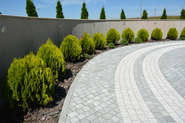 Best Concrete Paver Driveway  in Dickinson, TX